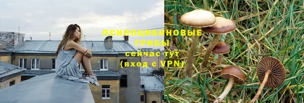 ешки Остров