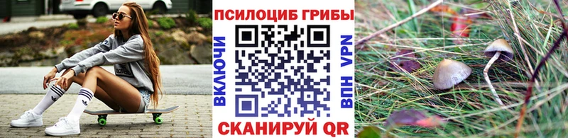 Галлюциногенные грибы мицелий  мега зеркало  Самара 