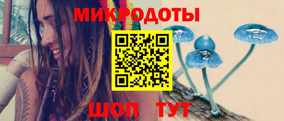 дарнет шоп  Псилоцибиновые грибы MAGIC MUSHROOMS  Вход с VPN  Самара  Псилоцибиновые грибы GOLDEN TEACHER 